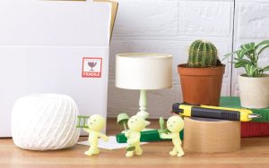 SMISKI Moving Series