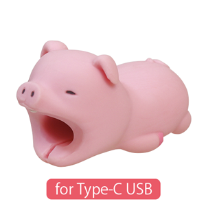 variants_type-c_pig.png