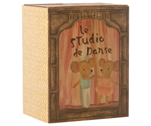 Ballet mice in dance studio. Little sister