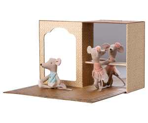 Ballet mice in dance studio. Little sister