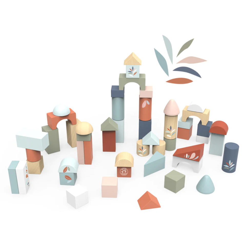 Building Blocks (50 Pieces)